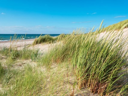 Summer day by the sea