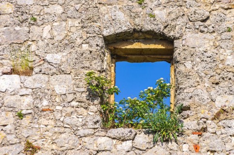 Single window overgrown with flowers in an old masonry