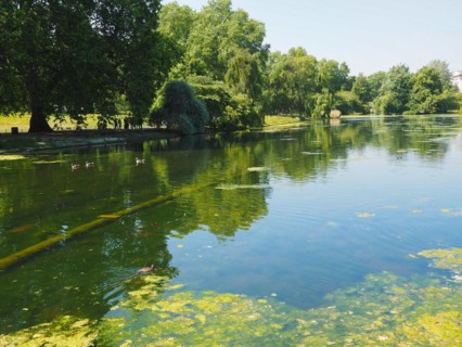 St James's Park in London