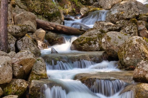 Small stream in the Restonica valley