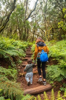 Mother and son climbing stairs on the trail in the mossy tree forest of Garajonay National Park