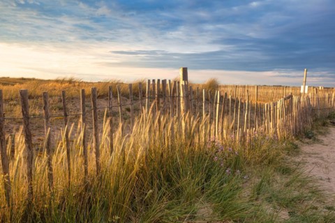 Evening atmosphere on the beach