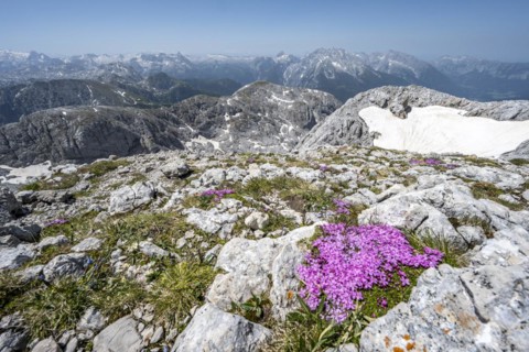 View of mountain panorama with Hohem Brett