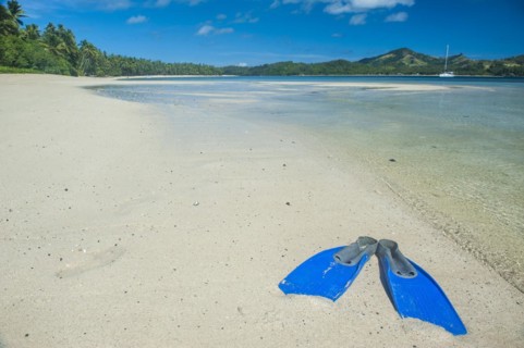 Flippers in the water of the blue lagoon