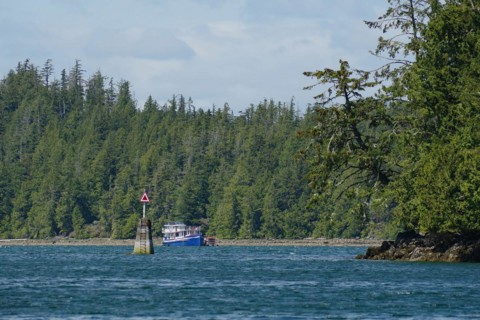 Dense forest and small fishing boat