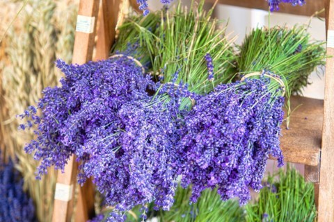 Bouquet of lavender at market
