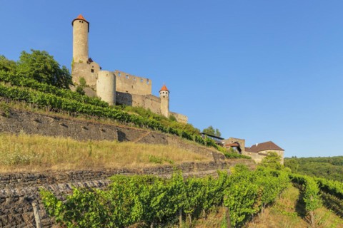 Hornberg Castle