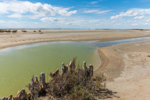 Typical landscape in a lagoon of the Rhone delta in the Camargue. Saintes Maries de la Mer
