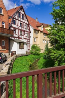 Backyard idyll of small houses