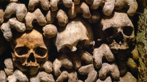 Human skulls and bones