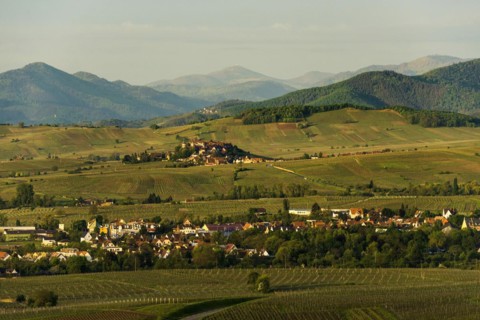 Medieval village in the vineyards