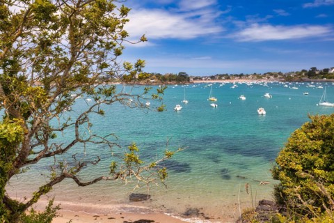 Sport boats in a bay