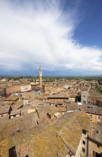 Torre del Mangia and the roofs of Siena
