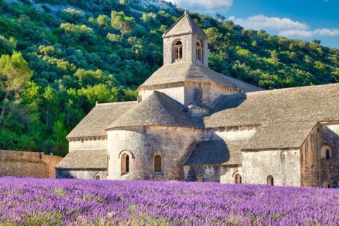 Cistercian Abbey Abbaye Notre-Dame de Senanque