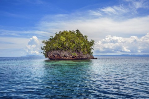 Wooded limestone islet in the Dampier Strait