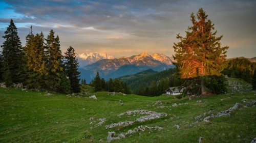 Mountain hut on the Kohler Alm with Sonntagshorn at sunrise