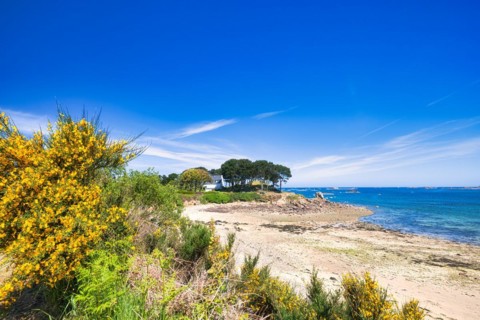 Beach at Le Gouffre