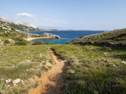 Rugged coastline