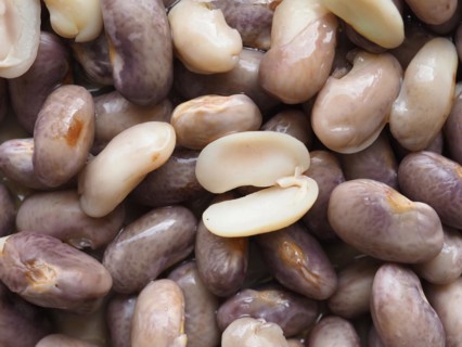 Crimson beans legumes vegetables food
