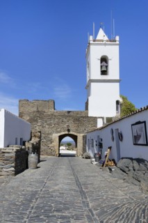 Arched Alcoba gate