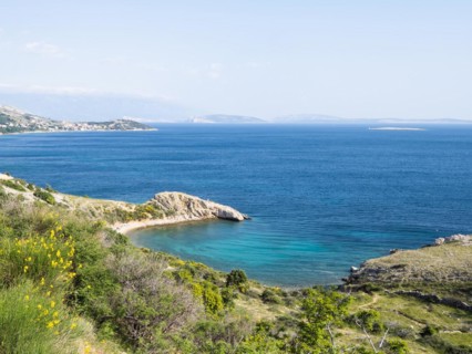 Rugged coastline