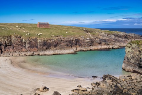 Sheep on the coast at the Butt of Lewis