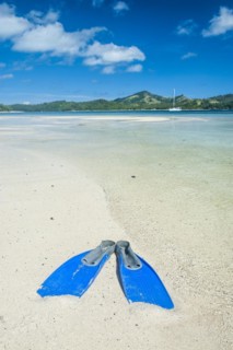 Flippers in the water of the blue lagoon