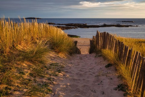 Evening atmosphere on the beach