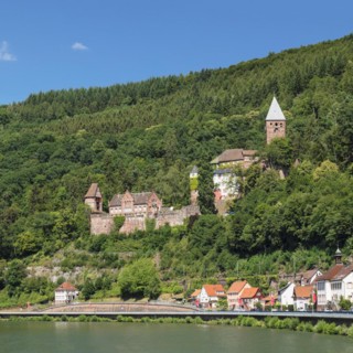 Zwingenberg Castle