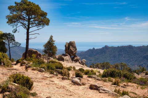 View of the sea from the Bavella massif