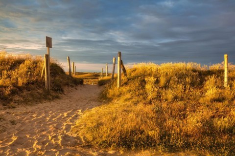 Evening atmosphere on the beach