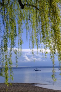 On the lakeside promenade