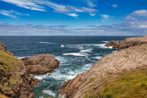 Wild Coast
