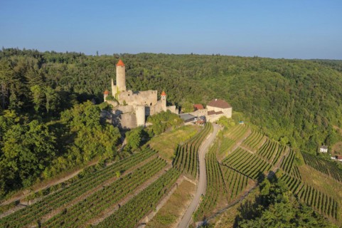 Hornberg Castle