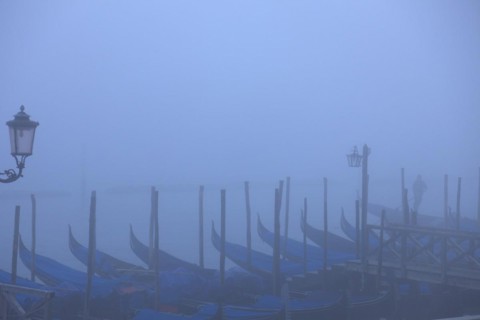Moored gondolas at the Bacino di San Marco in the fog