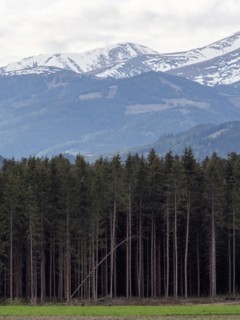 Snow-covered Alpine peaks