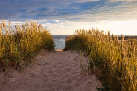 Evening atmosphere on the beach