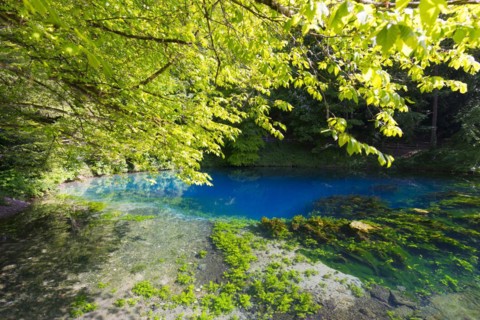 Blautopf in Blaubeuren