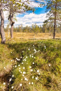 Fulufjaellet National Park