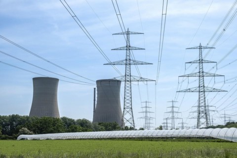 Vegetable cultivation under power lines near the Grafenrheinfeld nuclear power plant