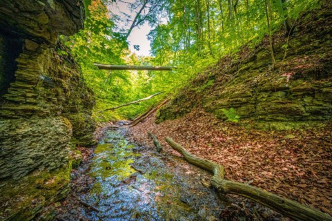 Small river flowing in mixed forest between limestone rocks in Rautal forest area in summer sunshine