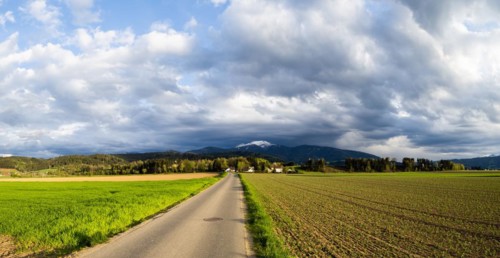 Road to the Thann castle ruins