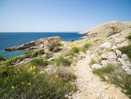 Rugged coastline