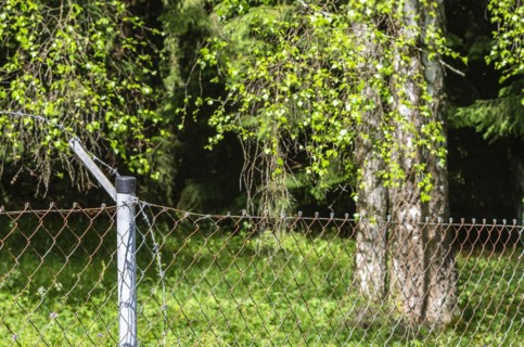 Burglars and thieves cut the top barbed wire of a garden fence to be able to climb over it unharmed