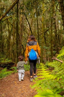 Mother and son walking through Las Creces trail in the mossy tree forest of Garajonay National Park