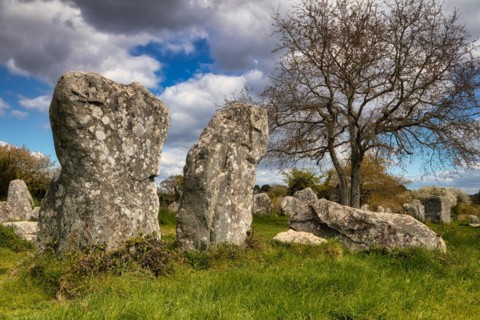 Megalithic stone rows from Kerzerho
