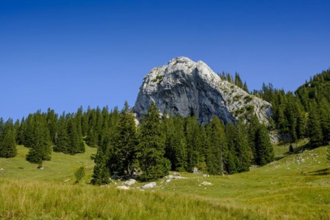 Taubenstein