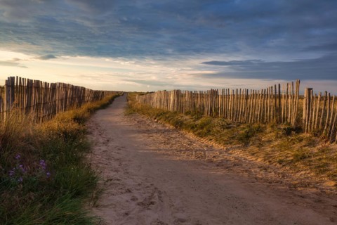 Evening atmosphere on the beach