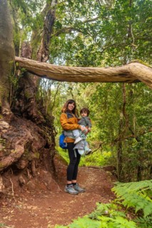 Portrait of mother and son in a tree on the trail in the mossy tree forest of Garajonay National Park