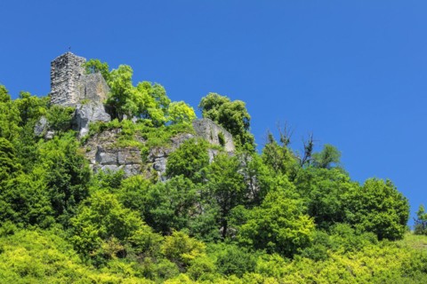 Hohenhundersingen Castle Ruin